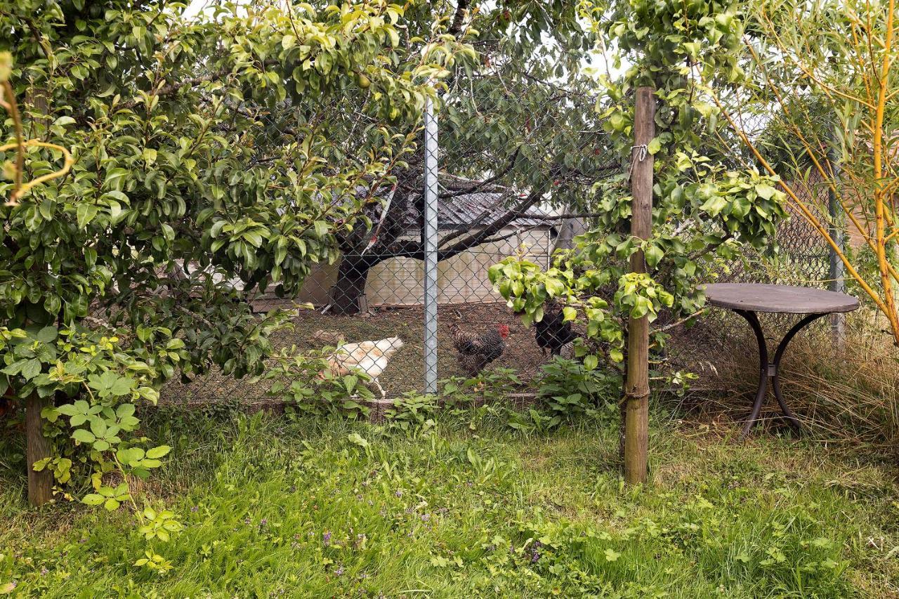 Apartamento Zum Haselbach Weilheim Exterior foto